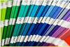 color personalizado