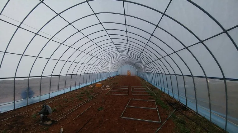 PE/PO Film Galvanised Steel Greenhouse For Mushroom Cultivation