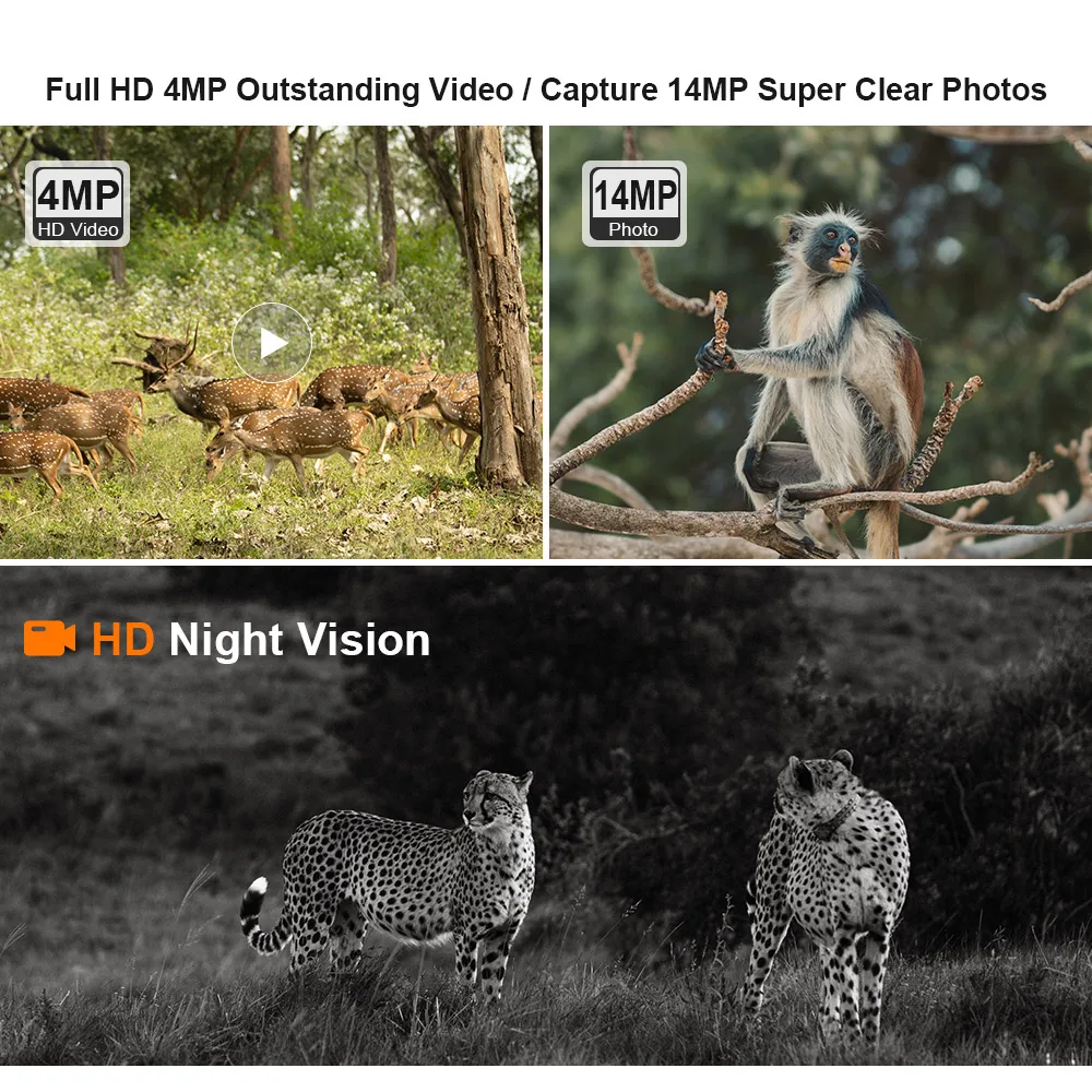 LS VISION 4MP 4G Solar Hunting Trail Camera PIR Sensing AI Motion Detection Alarm Sim Card LTE Cellular Outdoor Wildlife Camera