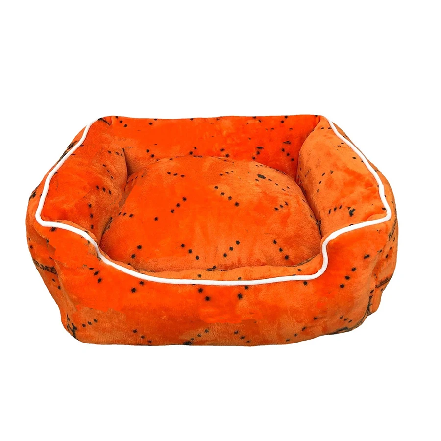 Factory Price New Design Brand Popular Luxury Designer Branded Pet Cat