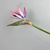 Pourpre