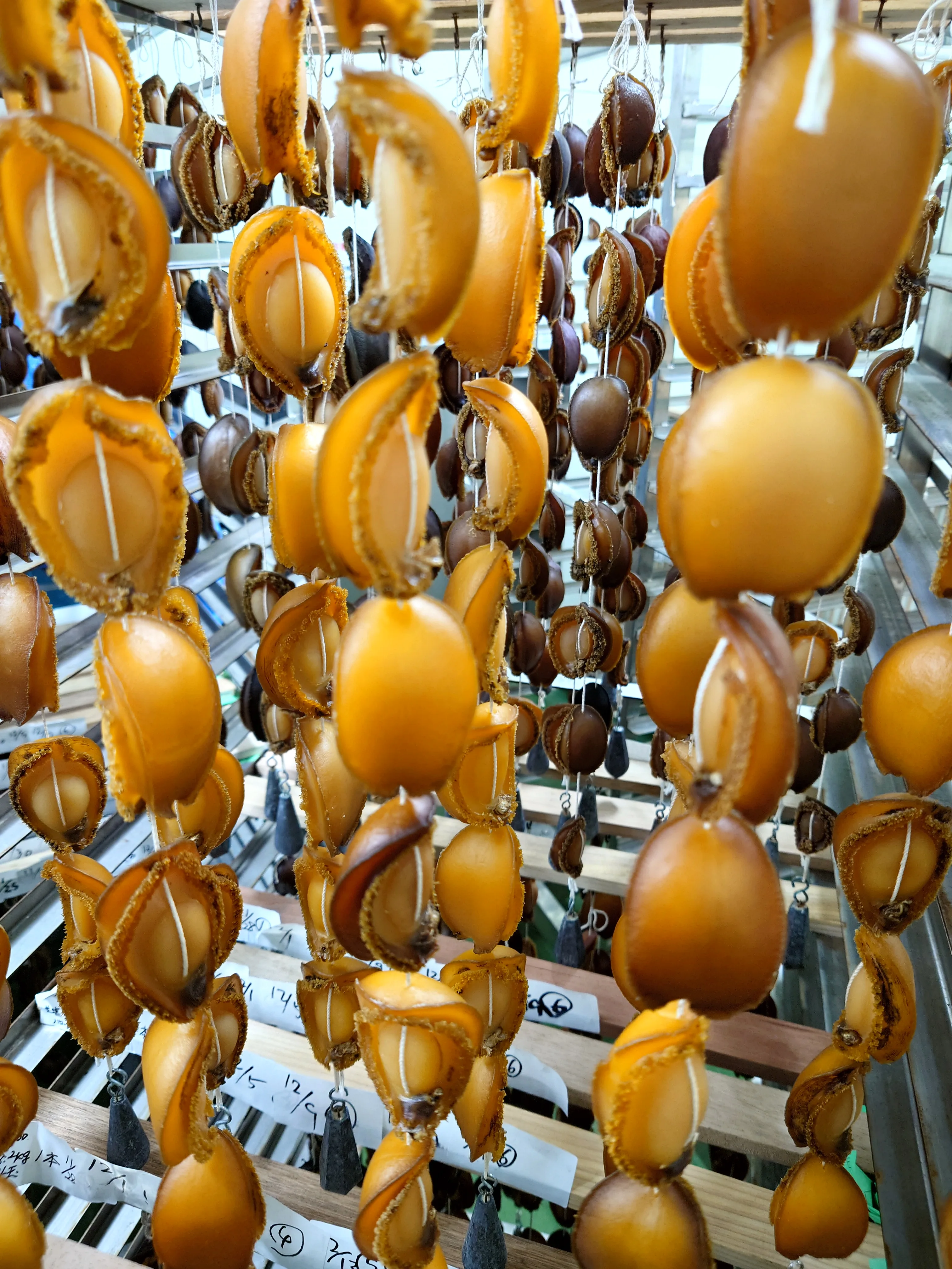 Wholesale Natural Products Japanese Seafood Abalone Dry Price Buy