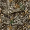 REALTREE