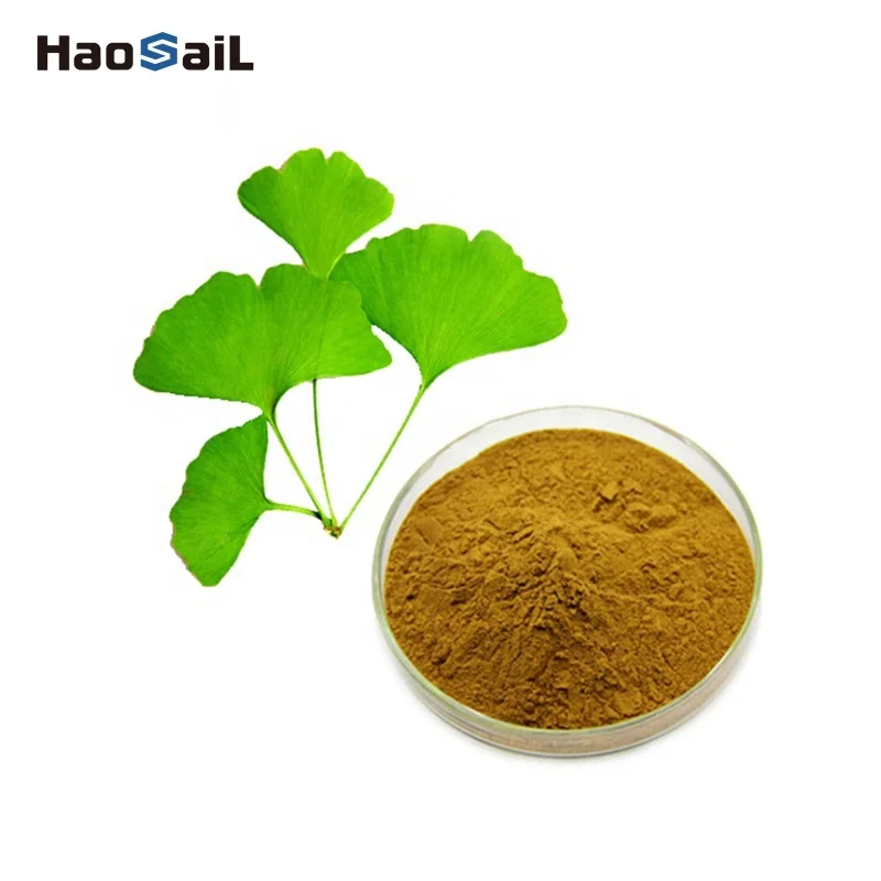 Gmp Dried Leaves Leaf Gingko Powder Capsules Pure Flavone Glycosides
