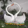 Customized Color