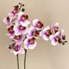 Blanco rosado