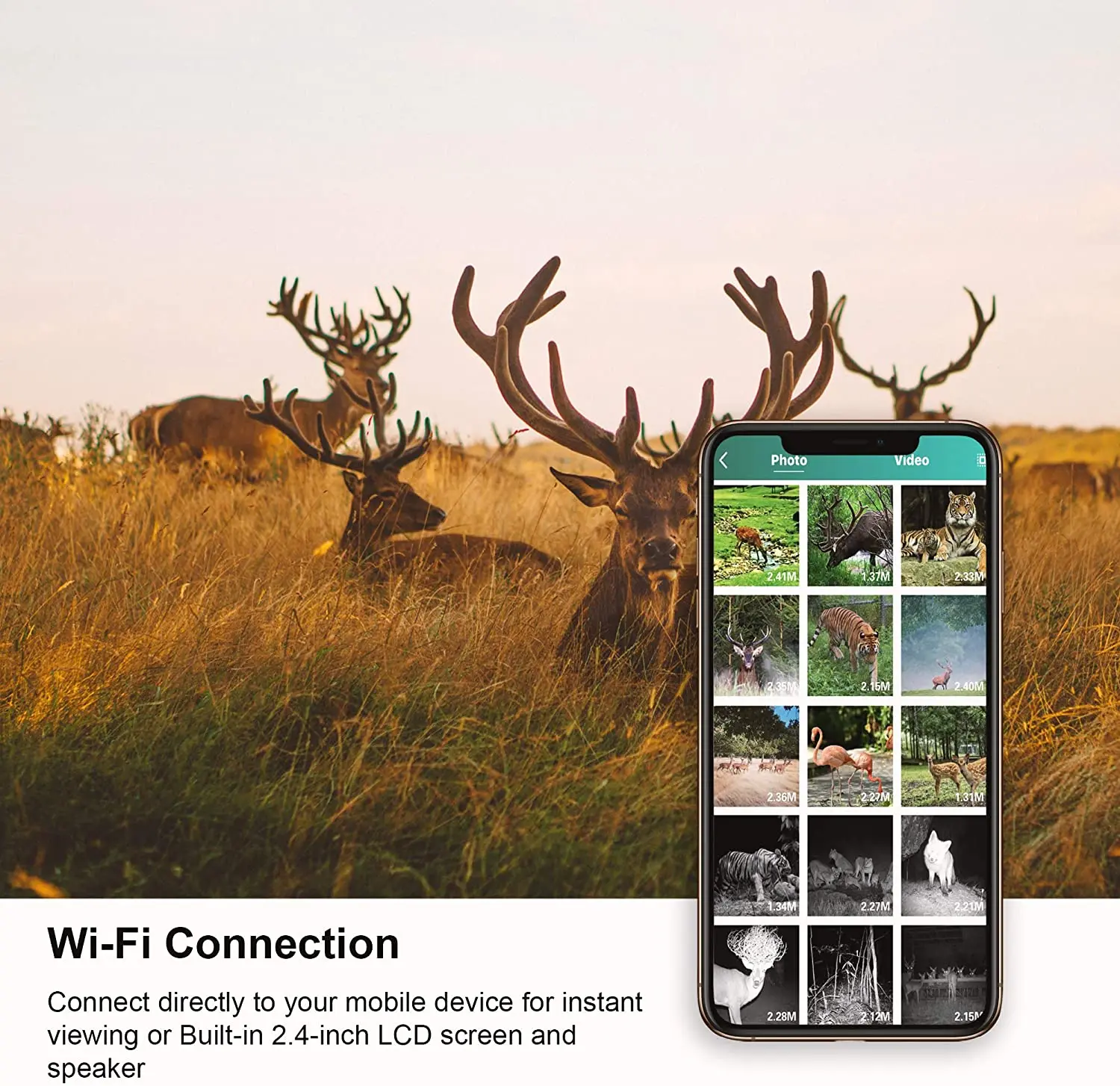 WIFI801 (1.jpg