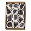 Amethyst cluster (Small)