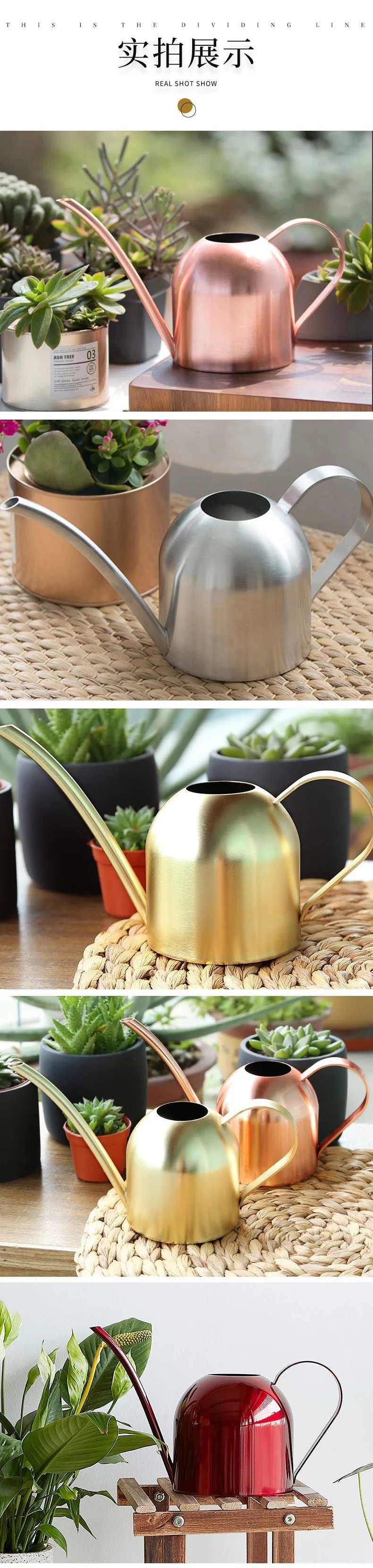 Small Stainless Steel Watering Can With Long Spout For Houseplants