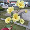 10#  6 testa di viola del pensiero gialla
