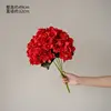 One large red 5-branched wavy hydrangea