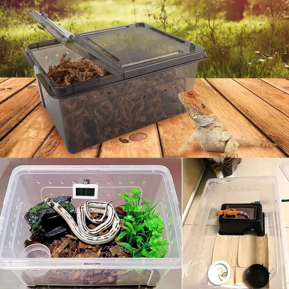 Reptile Feeding Box Snake Breeding Box Transparent Animal Habitat Cage ...