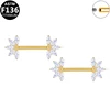 G23NP1-S1616280