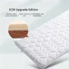 5 cm