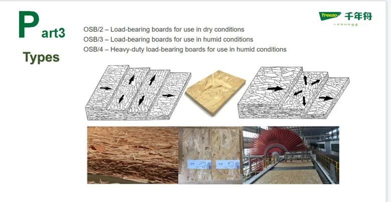OSB  (2)