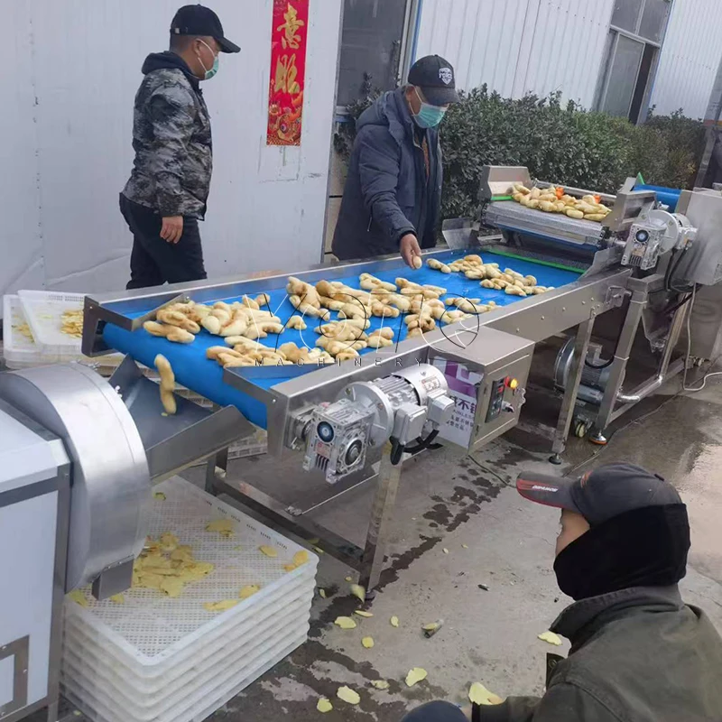 Ginger Powder Machines Complete Garlic Powder Production Line
