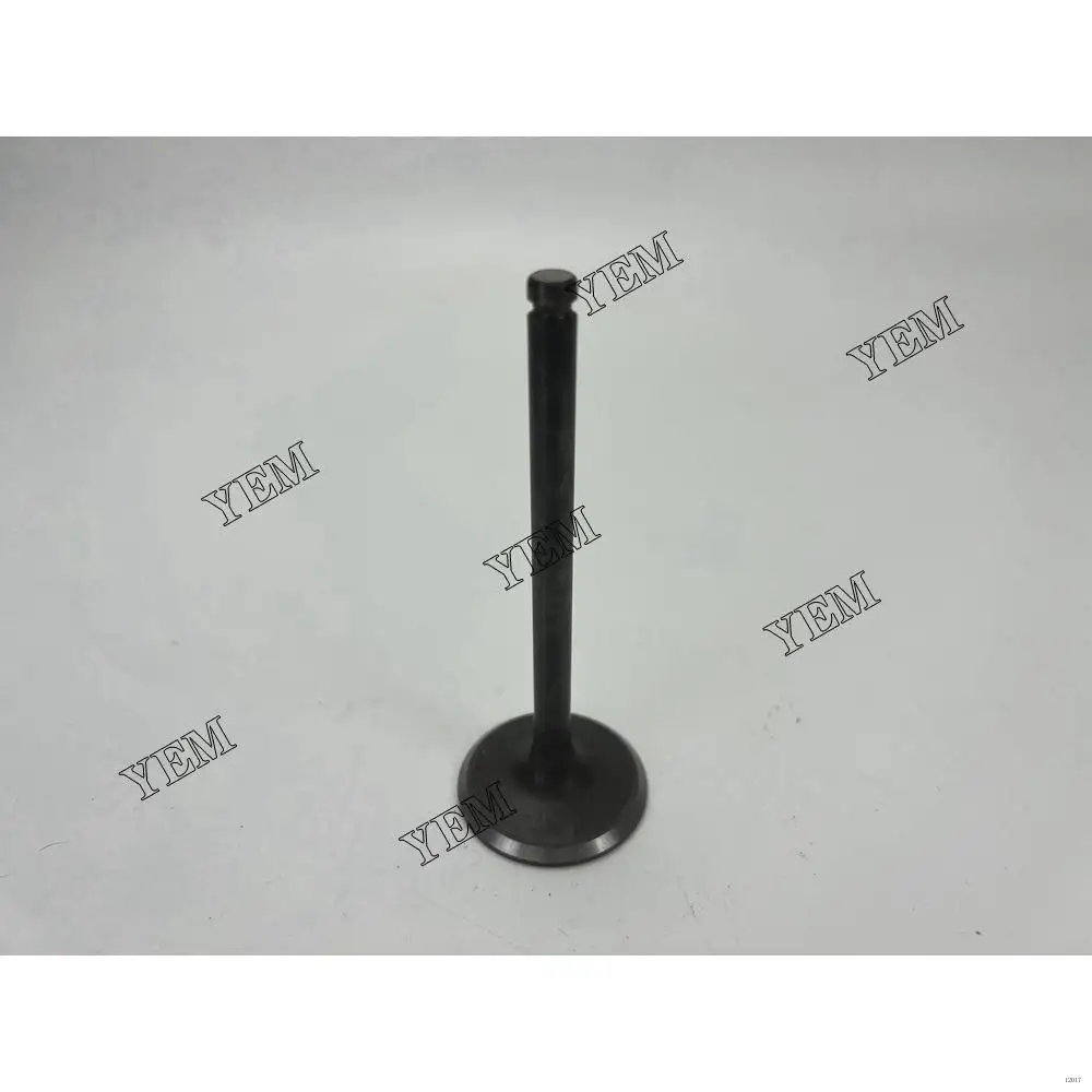BD30 Inlet Valves Kit for Nissan