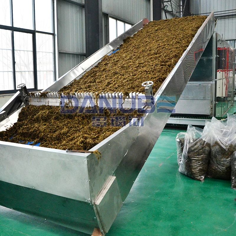 Large Scale Continuous Mesh Belt Dryer for Drying Grass Moringa Leaf Vanilla Machine for sale