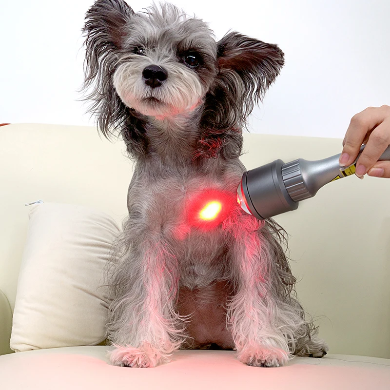 Class 4 Laser Therapy System of Veterinary Use Therapy Laser for Horse 810nm 980nm 1064nm High Power Laser Therapy Machine