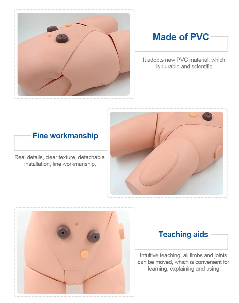Advanced High Quality Human Nursing Training Male Urinary Genitalia and Urethral Catheterization Enama Medical Model