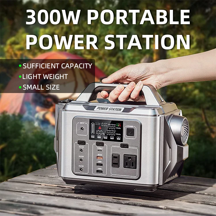 Power Station 300W  (10).png