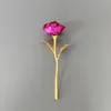 colorful Rose red (18 cm