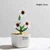 camelia blanca