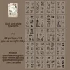 D black and white fragments(brown)
