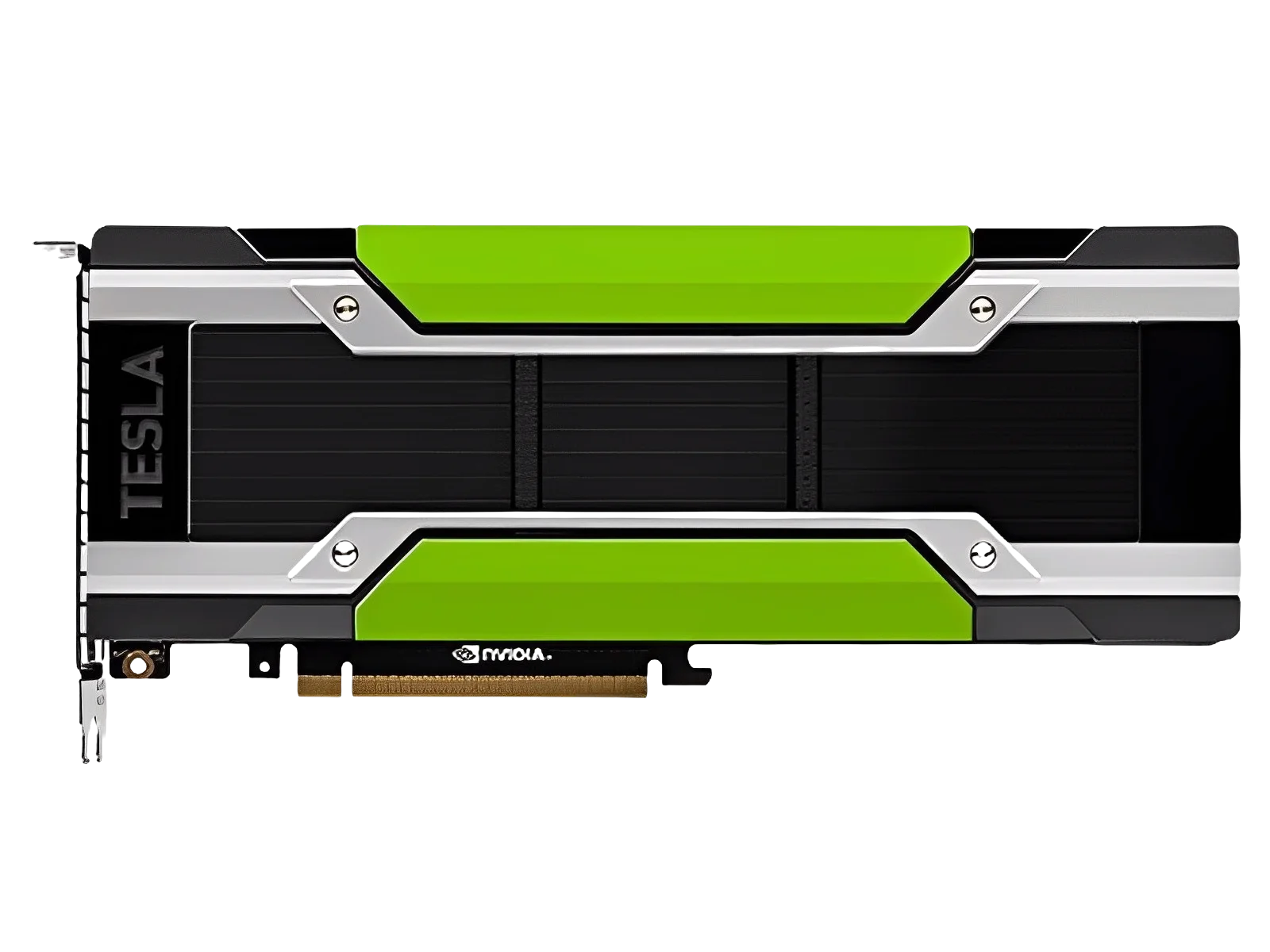 Amazon | BestParts Nvidia Tesla P4 M4 T4 ビデオグラフィック