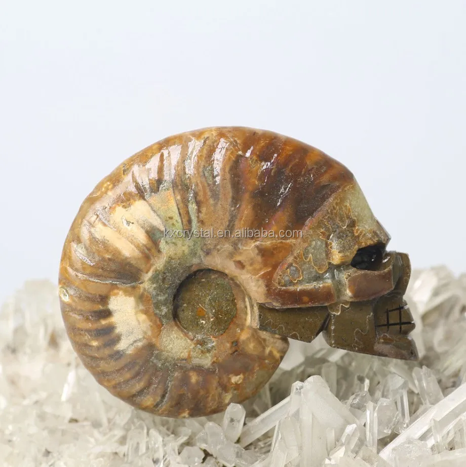 卸売レイキヒーリングクォーツアンモナイト化石石彫刻頭蓋骨巻き貝ロック Buy アンモナイト化石石 頭蓋骨水晶振動子 Skulls クリスタル頭蓋骨卸売 Product On Alibaba Com