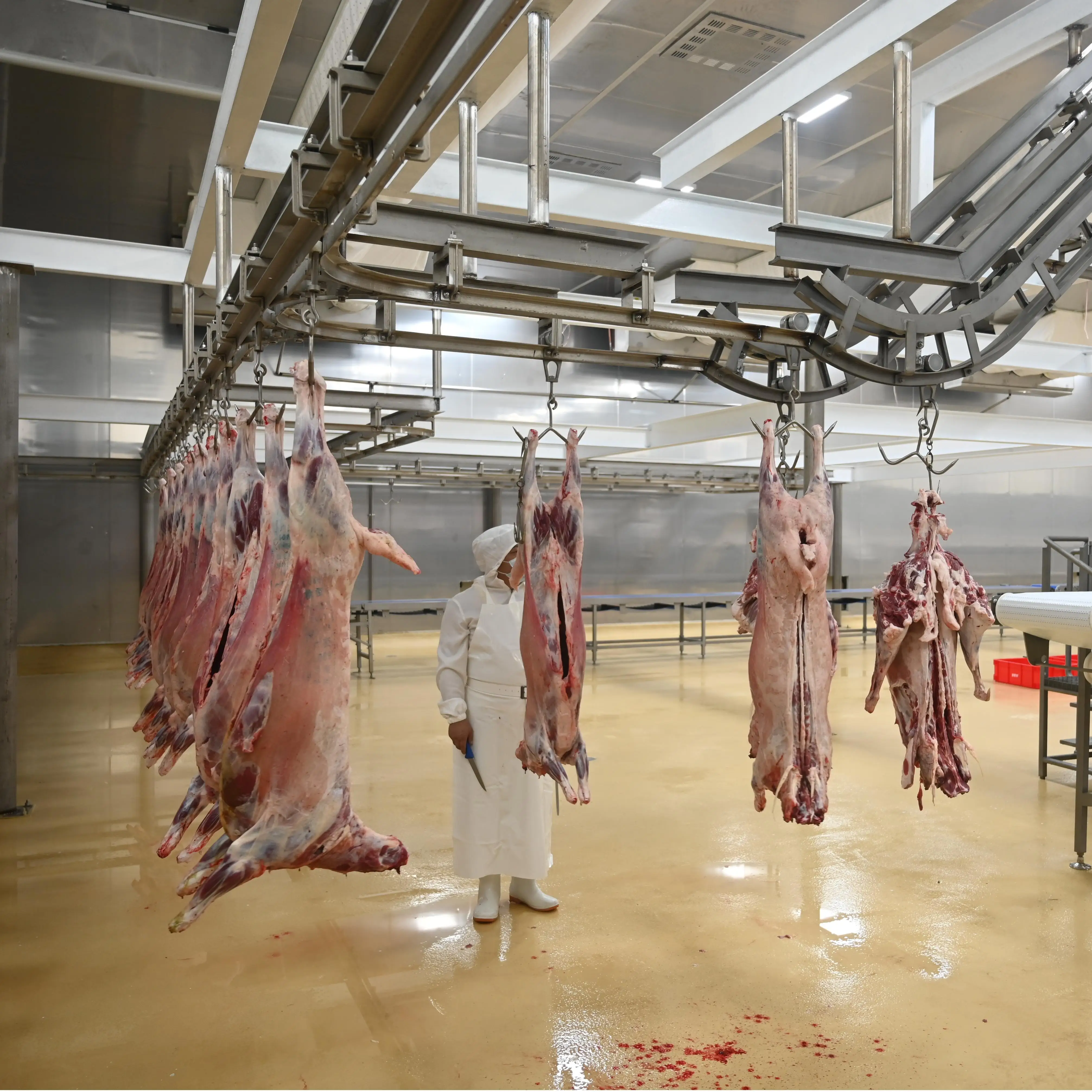 Automatic sheep slaughtering line with durable sheep deboning conveyor for sheep slaughterhouse