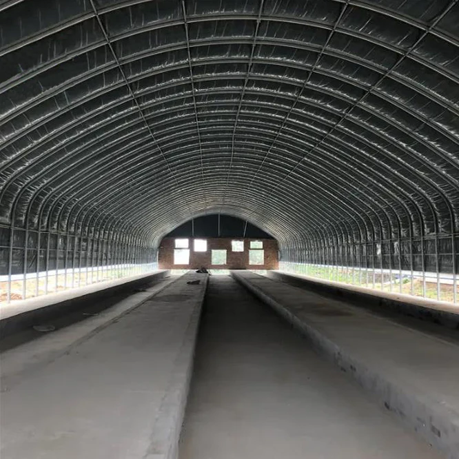 Prefabricated Steel Structure Cowshed Dairy Cow Cattle Farm Shed Barns House Design