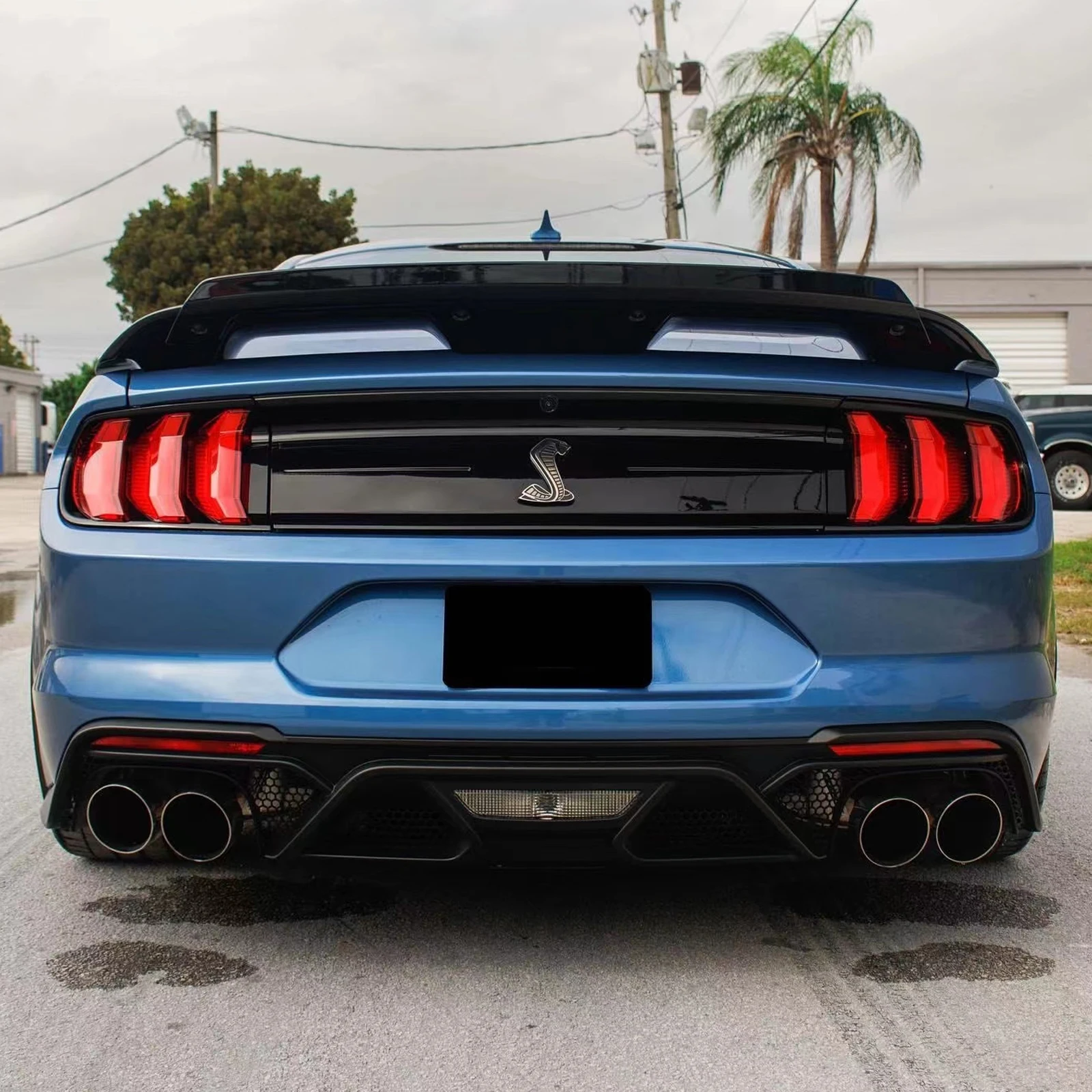 Mustang Gt500 Shelby Bodykit Front Bumper Rear Bumper Rear Diffuser ...