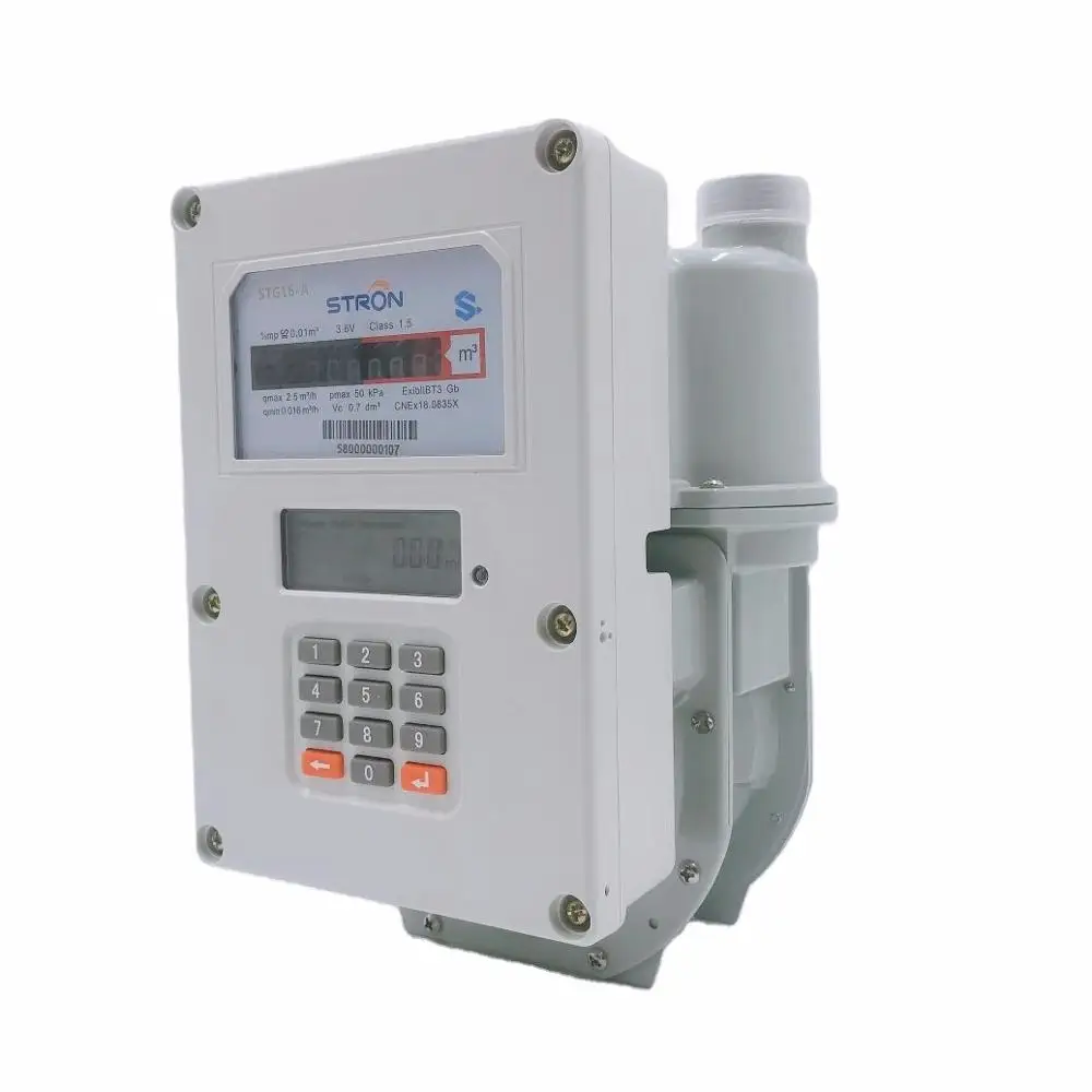 STS prepaid keypad gas meter with LORA-RF and AMI system to read and control remotely - Famidy.com