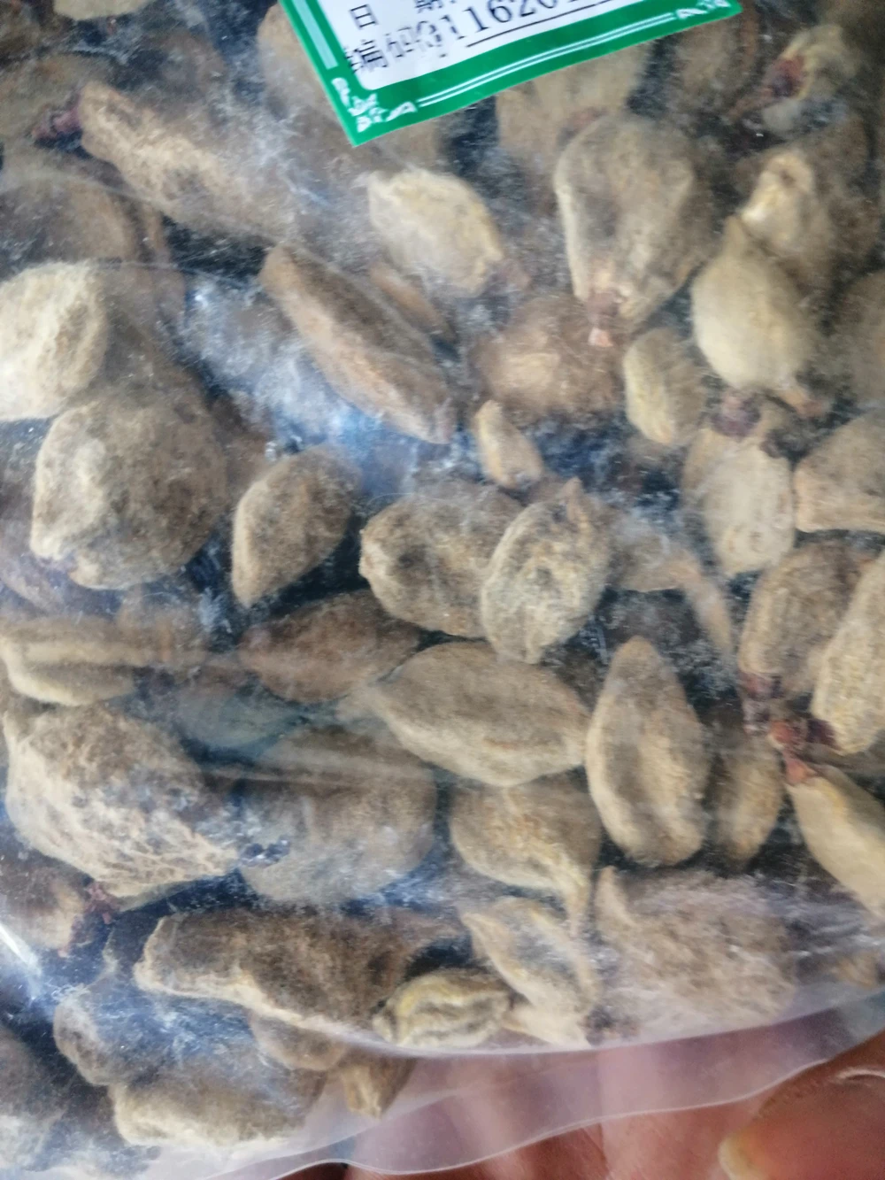 Herb Young Immature Fruit of Peach Dried Immature of David Peach for Sale
