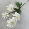 Dahlias blancs, 4 têtes