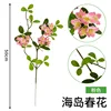 Small island spring flowers pink