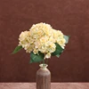 Color no. 11 (excluding vase)