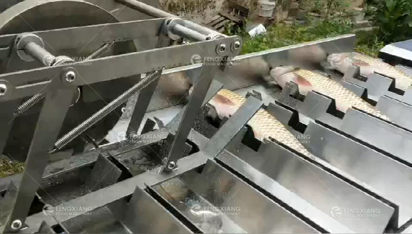 Adjustable Cutting Length Automatic Fish Head Cutting Machine Fish Tail Cutter