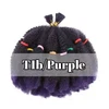 T1B/purple