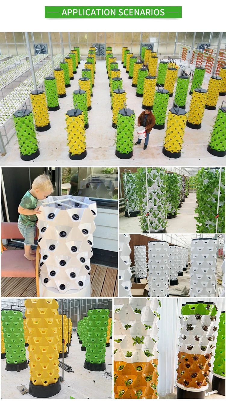 Greenhouse Pineapple Aeroponic Growing Towers Hydroponics Vertical