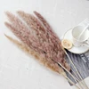 Bouquet de pampas 1
