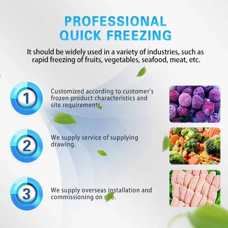 Быстрое замораживание туннелей Iqf быстрозамораживаемое замораживающее оборудование промышленный Морозильный туннель для