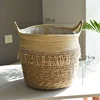 Rice white tassel mouth 28cm