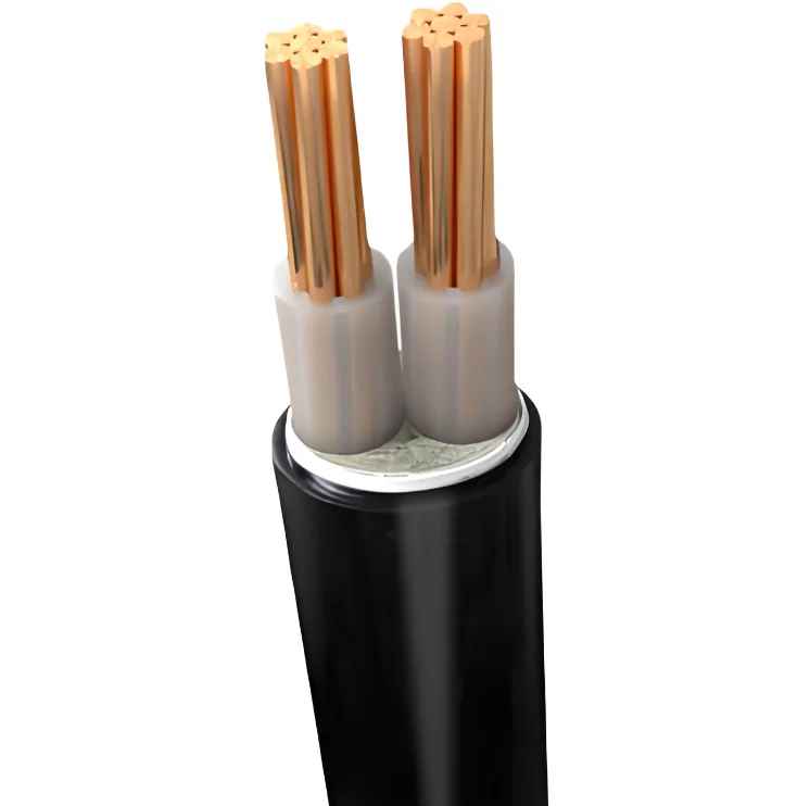NYY/U1000/R02V power cable 2 cores *1.5/2.5/4/6/10/16/25/35/50/70 square feet Copper/Aluminum core wire for construction