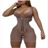 631006-Brown