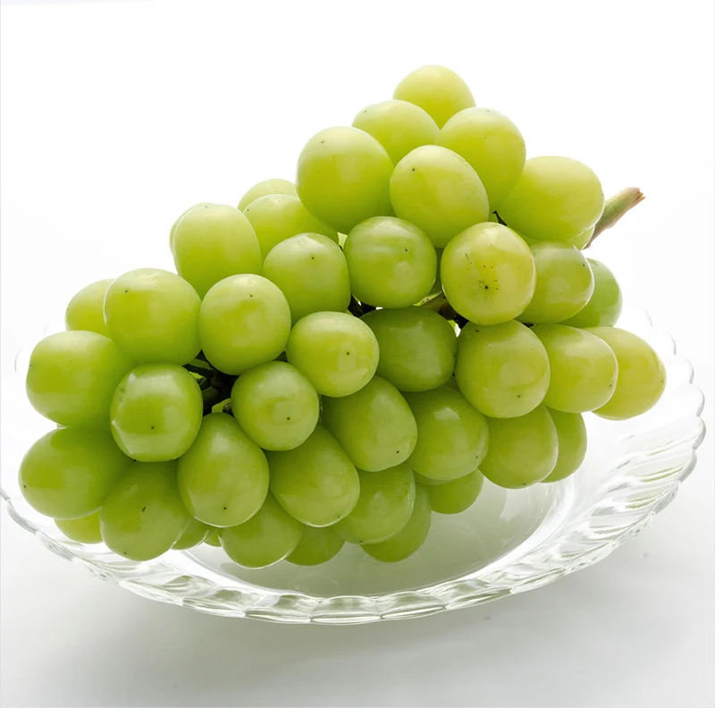 Japanese vitamin rich hot sale fresh grapes fruit price for wholesale