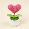 Rose Red Heart small pot plant