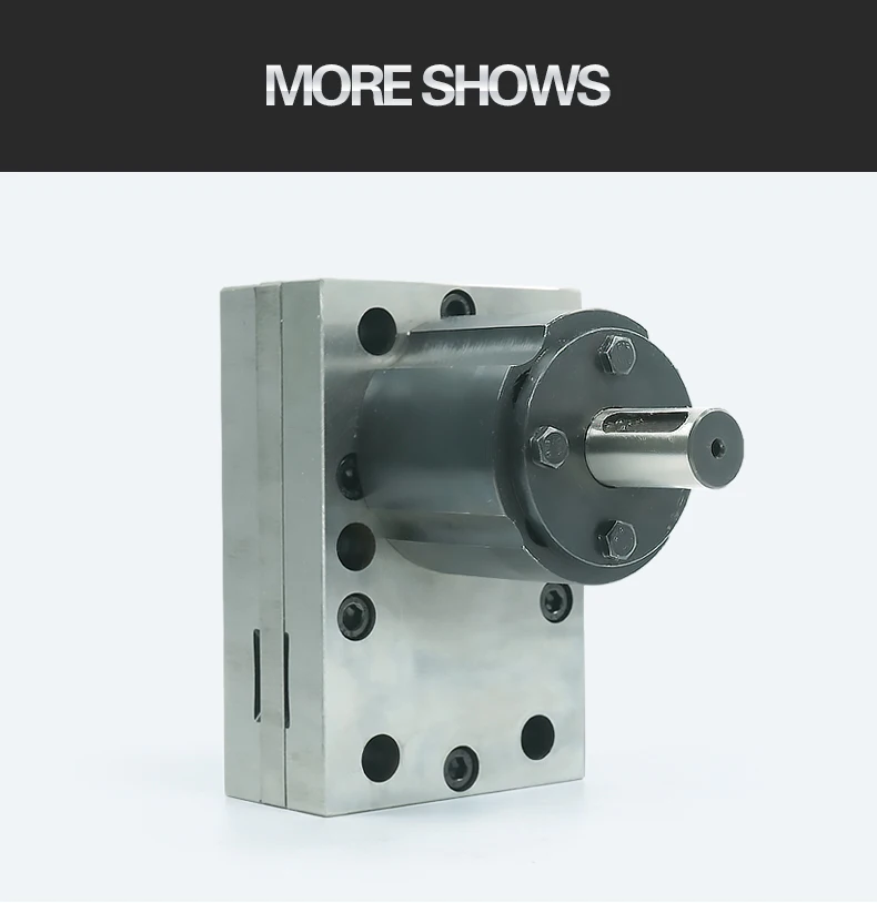 Shanghai Gns Proportional Volumetric Laundry Detergent Dosing Pump