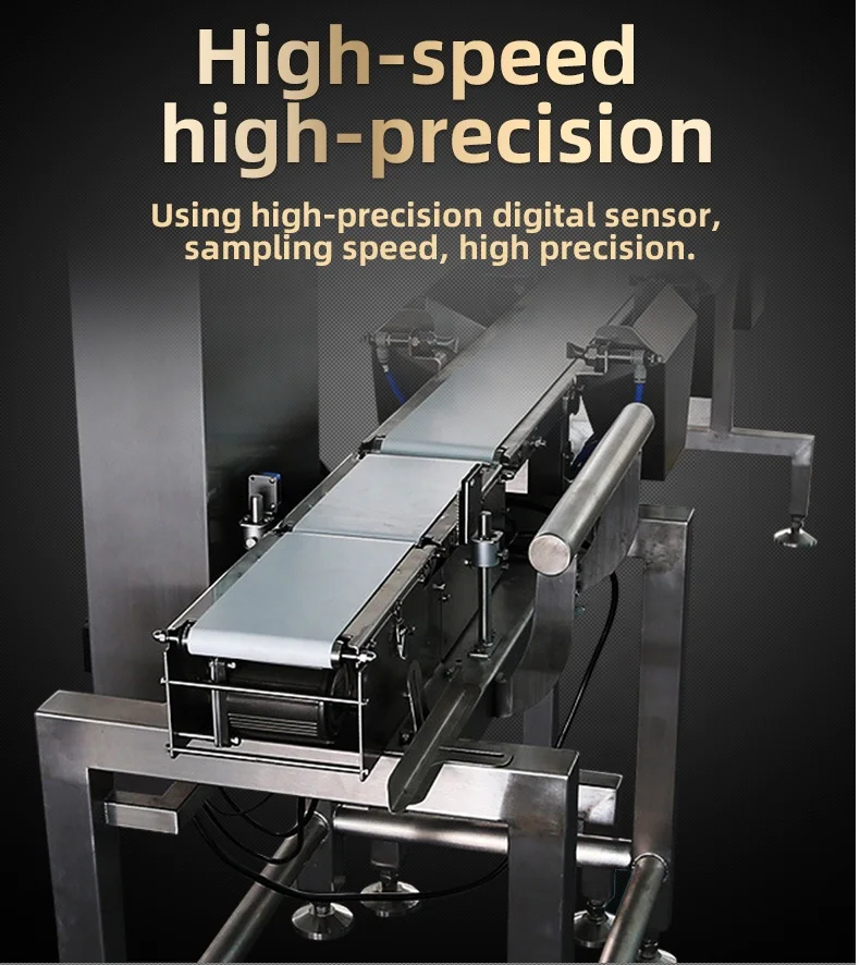 Custom High Speed and High Precision Digital Sorting Weighing Scale Automatic Checkweigher Weight Sorter Machine for Frozen Fish